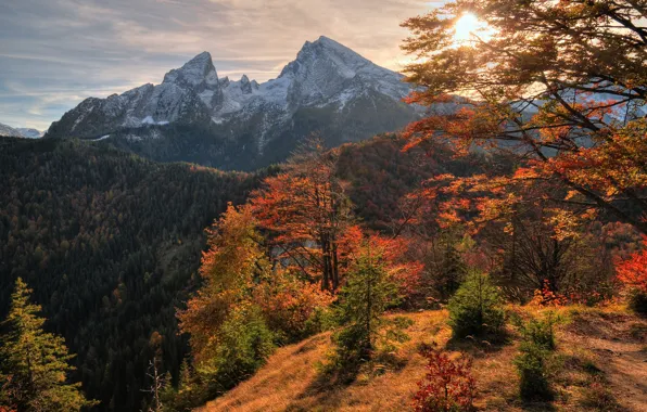 Картинка осень, небо, деревья, закат, горы, природа, Nature, sky