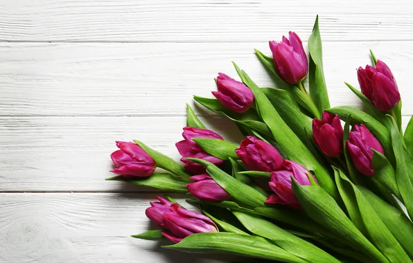 Картинка цветы, букет, тюльпаны, wood, flowers, tulips, spring, purple