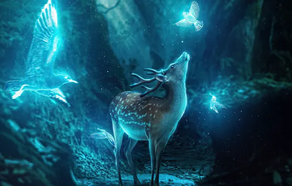 Animals, birds, deer, antlers