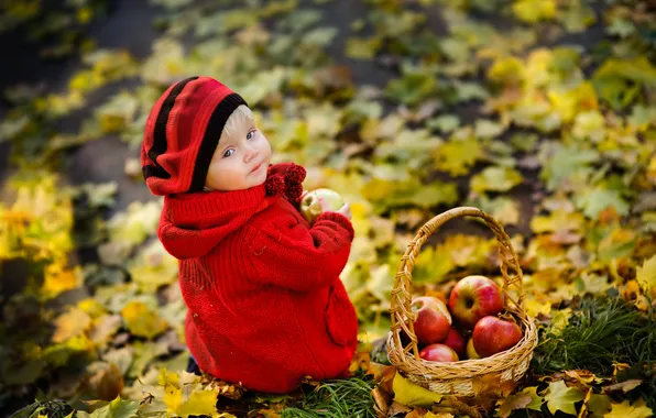Картинка осень, взгляд, листья, парк, корзина, яблоки, ребёнок