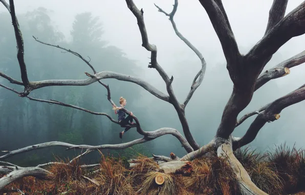 Girl, forest, fog, branches