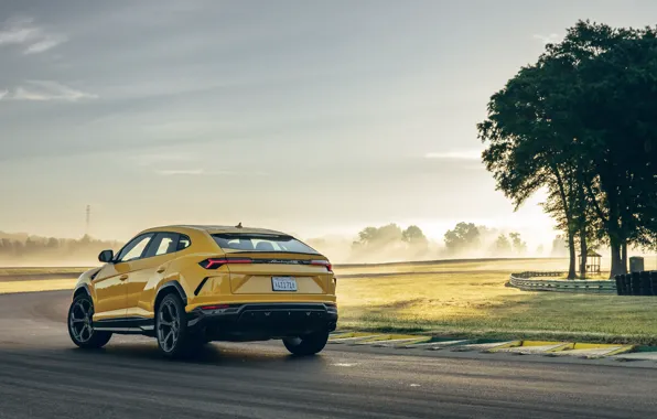 Lamborghini, вид сзади, кроссовер, Urus, 2019