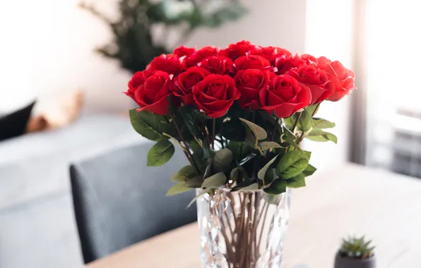 Red, vase, roses