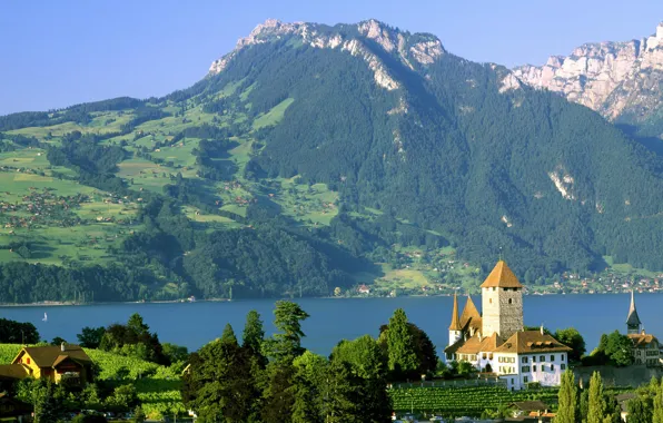 Озеро, замок, Швейцария