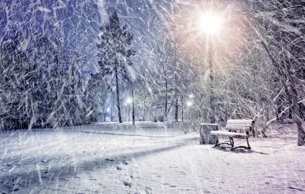 Картинка зима, снег, lights, парк, фонарь, Park, winter, snow