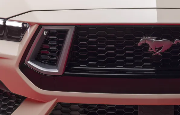 Ford, Форд, Мустанг, Convertible, Mustang GT, 2025, лимитированная серия, 60th Anniversary Package