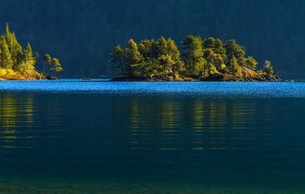 Картинка лес, вода, деревья, Канада, Canada, островок, Cowichan Lake, озеро Кауичан