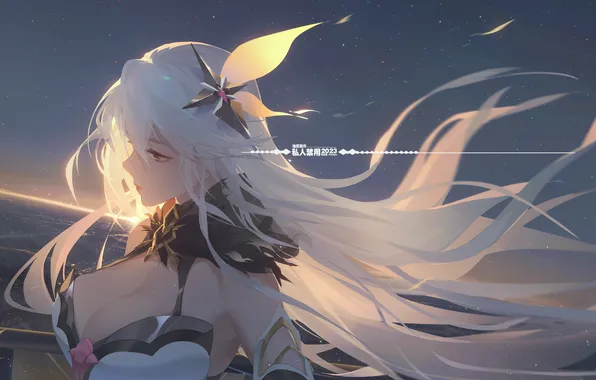 Небо, девушка, Kiana Kaslana, Houkai Gakuen 2