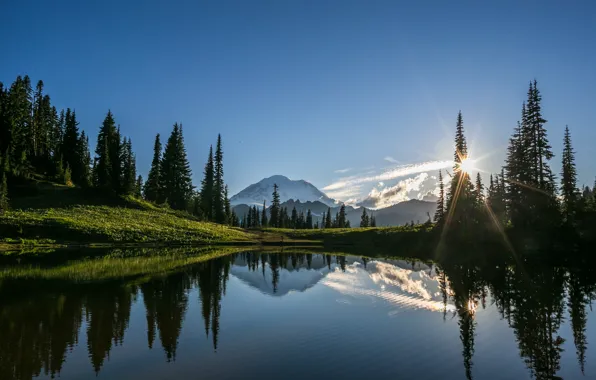 Картинка лес, солнце, пейзаж, горы, Mt. Rainier