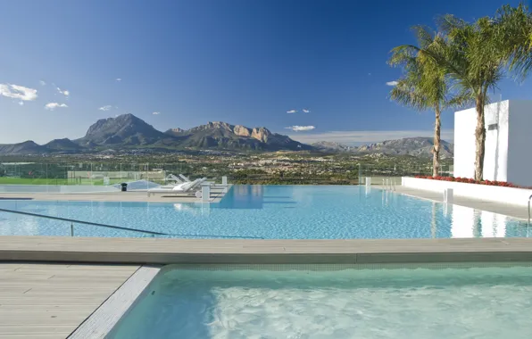 Пейзаж, город, пальмы, вид, бассейн