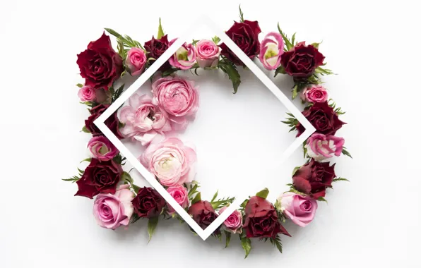 Картинка цветы, розы, red, розовые, pink, flowers, пионы, roses