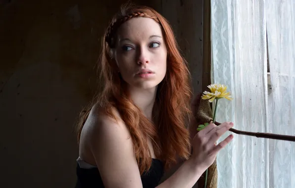 Картинка цветок, девушка, окно