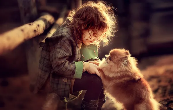 Картинка игра, собака, девочка, малышка, ребёнок, пёс, шпиц, Darya Stepanova