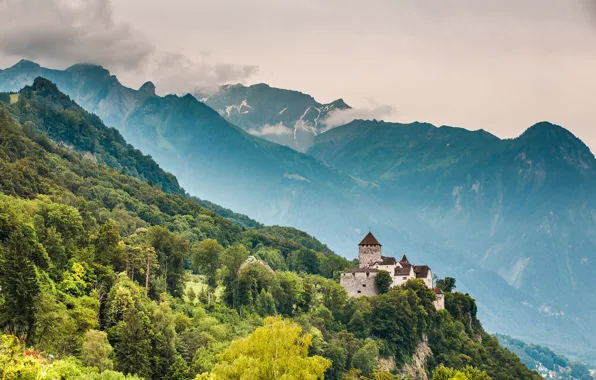 Лес, горы, замок, Альпы, Лихтенштейн, Vaduz Castle, Вадуц