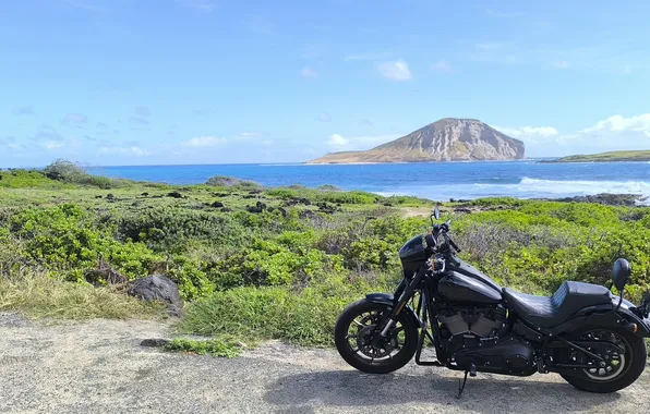 Hawaii, hawaii, harley, harleay-davidson, oahu