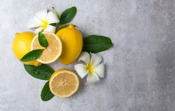 Картинка Лимон, цитрус, плюмерия