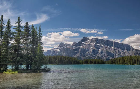 Лес, горы, озеро, ели, Канада, Альберта, Banff National Park, Alberta