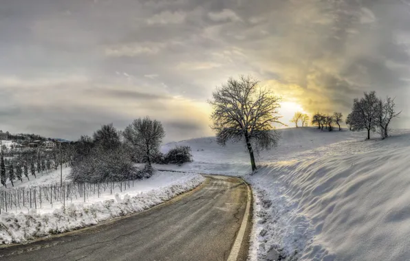 Картинка зима, дорога, природа, дерево, вечер