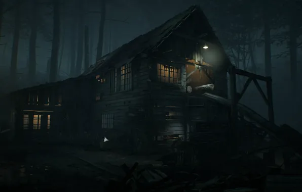 Лес, свет, ночь, дом, руины, Blair Witch, Sawmill
