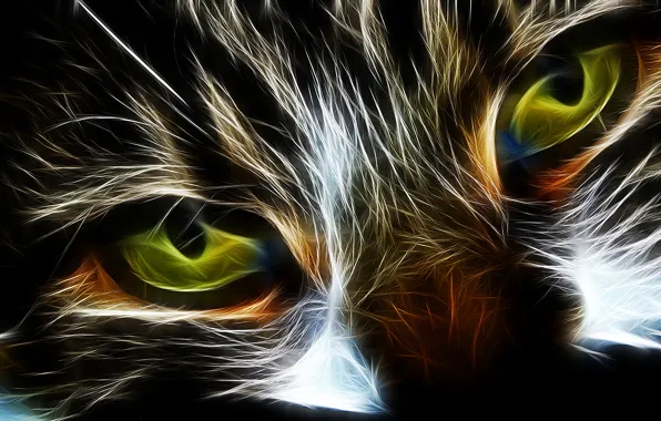 Кошка, глаза, кот, абстракция