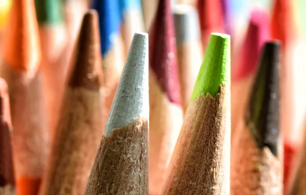 Макро, цвет, карандаши