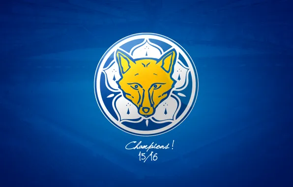 Wallpaper, sport, logo, football, Leicester City FC, King Power Stadium