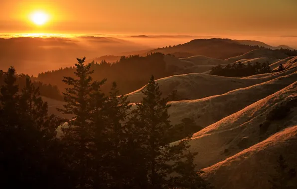 Закат, природа, Sunset, California, Marin County