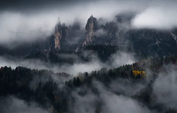 Лес, деревья, горы, природа, туман, скалы, Dolomites, Доломиты