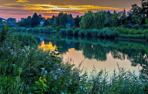 Картинка трава, закат, озеро