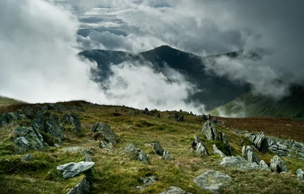 Горы, туман, камни