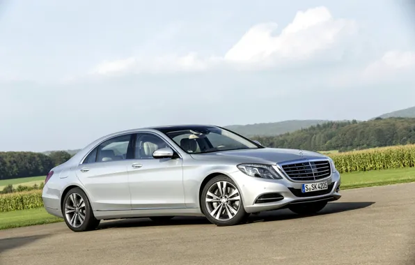 Silver, автомобиль, флагман, Mercedes-Benz S550 2014, С-class, Мерседес С550