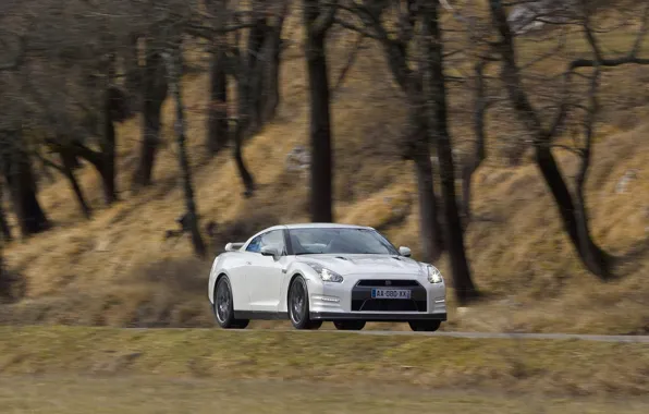 Осень, горы, япония, R35, Egoist, Nissan GTR