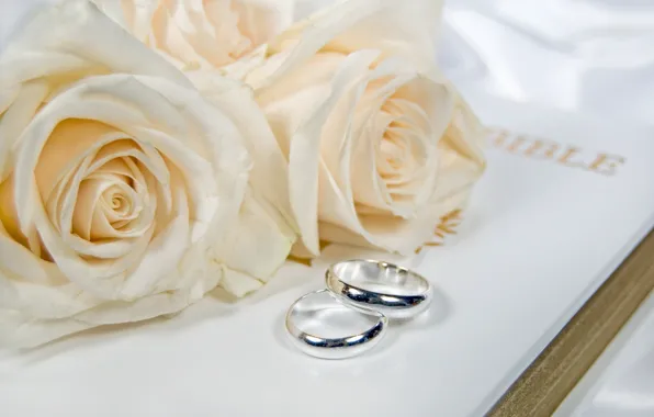 Цветы, flowers, обручальные кольца, wedding rings