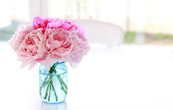 Картинка белый, цветы, стол, фон, стул, банка, ваза, розовые