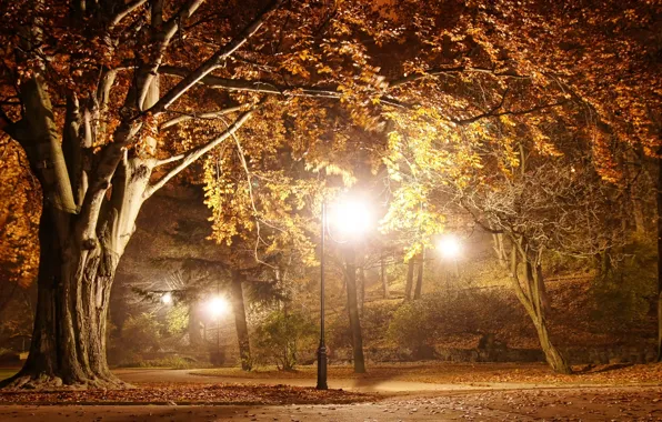 Картинка night, park, romantic