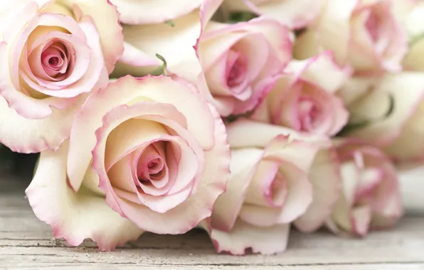 Цветы, розы, букет, розовые, wood, pink, flowers, roses