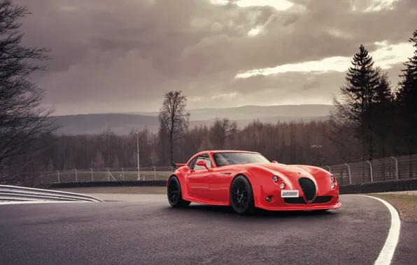 Wiesmann, трек, MF4-CS