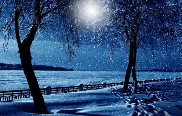Картинка зима, снег, деревья, природа, nature, night, winter, snow