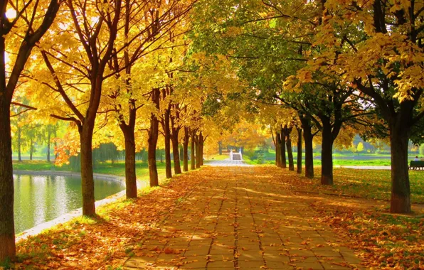 Картинка осень, пруд, парк, аллея