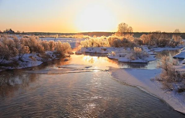 Лед, зима, деревья, природа, река, фото