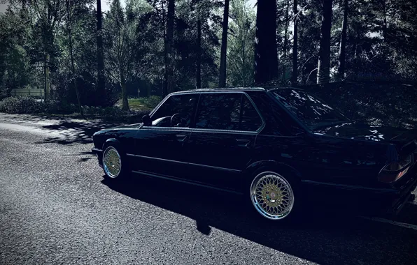 HDR, BMW, Wood, Spring, Game, E28, Trees, 5er