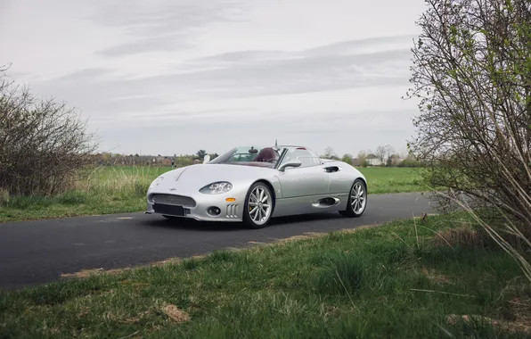 Картинка Spyker, 2004, C8, Spyker C8 Spyder