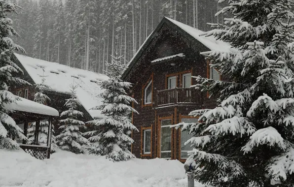 Природа, Зима, Снег, Дом, House, Nature, Winter, Snow