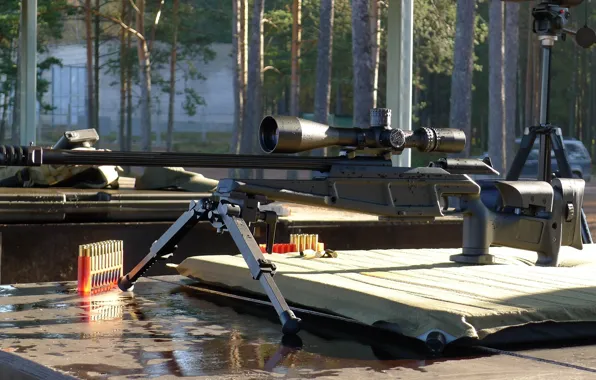 Картинка Германия, патроны, LRS2, немецкая снайперская винтовка, Blaser 93