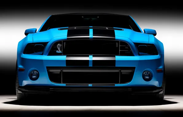 Mustang, Ford, Shelby, Ford Mustang, GT500 SVT, Ford Mustang Shelby GT500 SVT, Shelby GT500 SVT