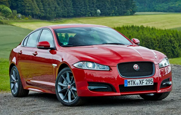 Горы, красный, jaguar