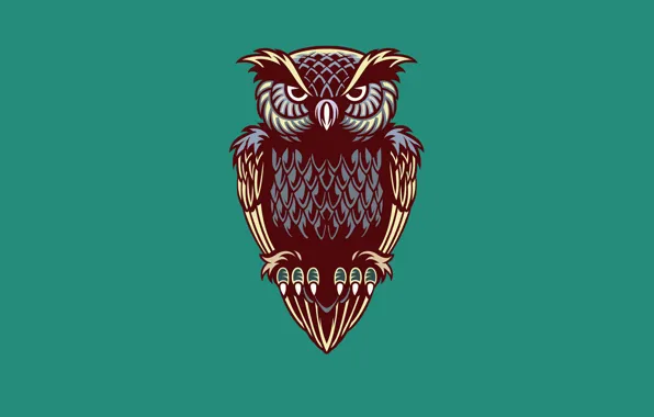 Сова, птица, минимализм, owl