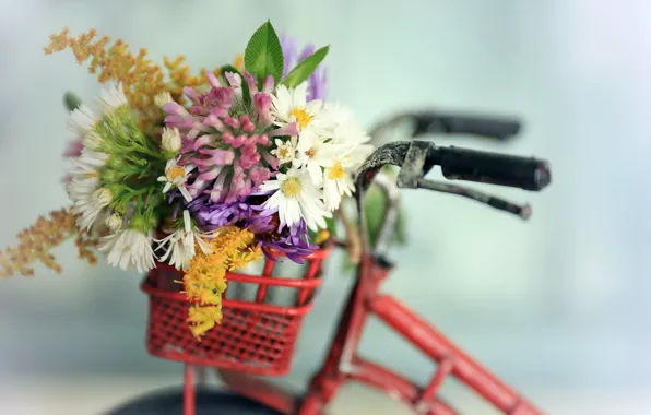 Картинка цветы, велосипед, фон
