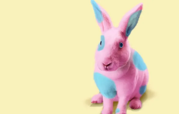 Картинка фон, розовый, голубой, цвет, кролик, пятна