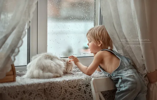 Кошка, кот, мальчик, окно, Елена Чернигина